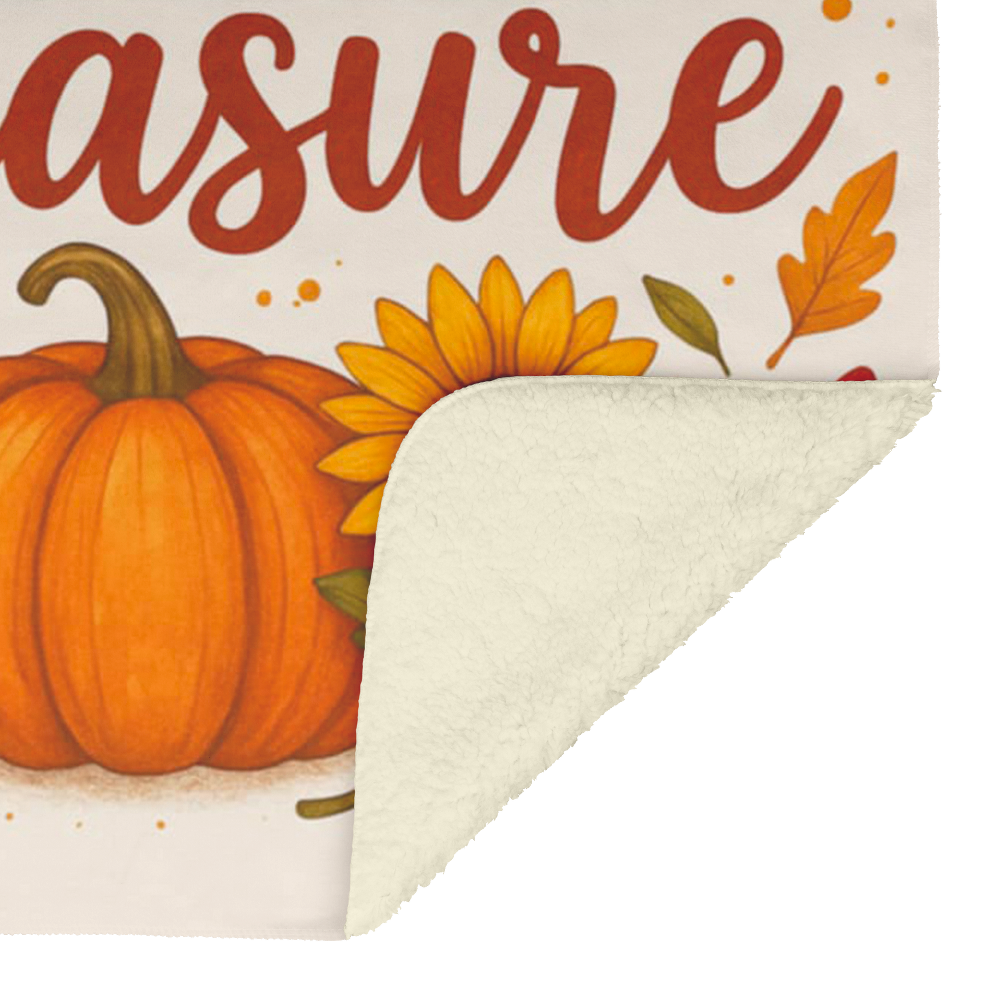 Blessed_Beyond_Measure_Fall_Blanket_V_Blanket_Sherpa_Mockup.png