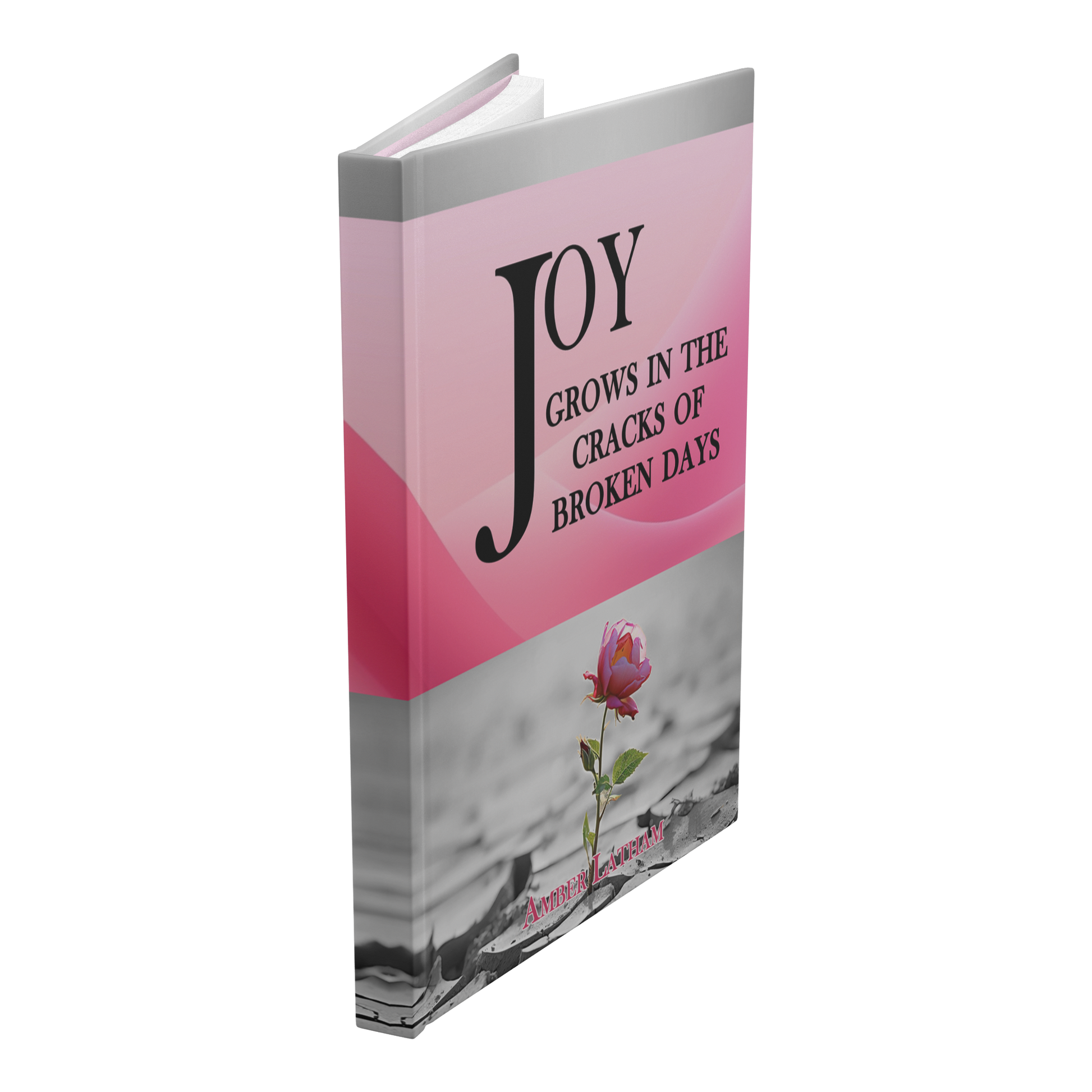 Joy Grows in the Cracks of Broken Days - Above The Rest